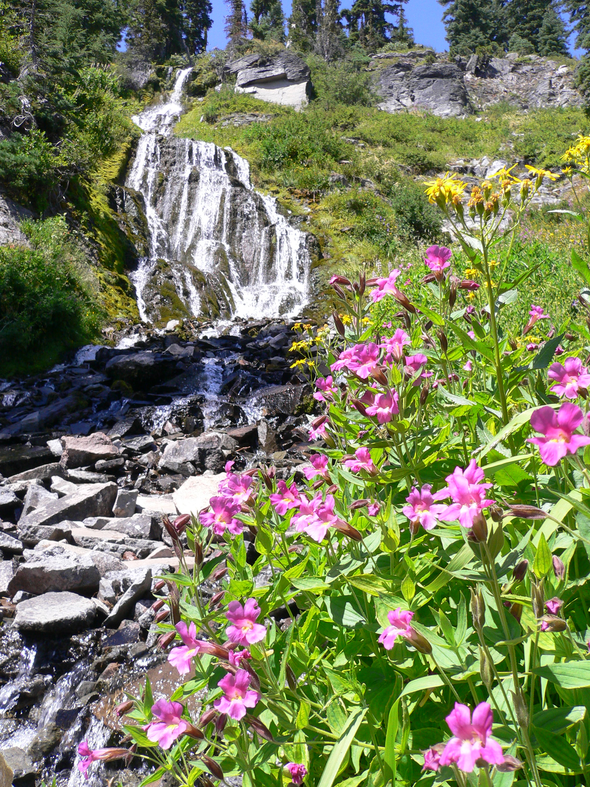 water flowing over Vidae Falls