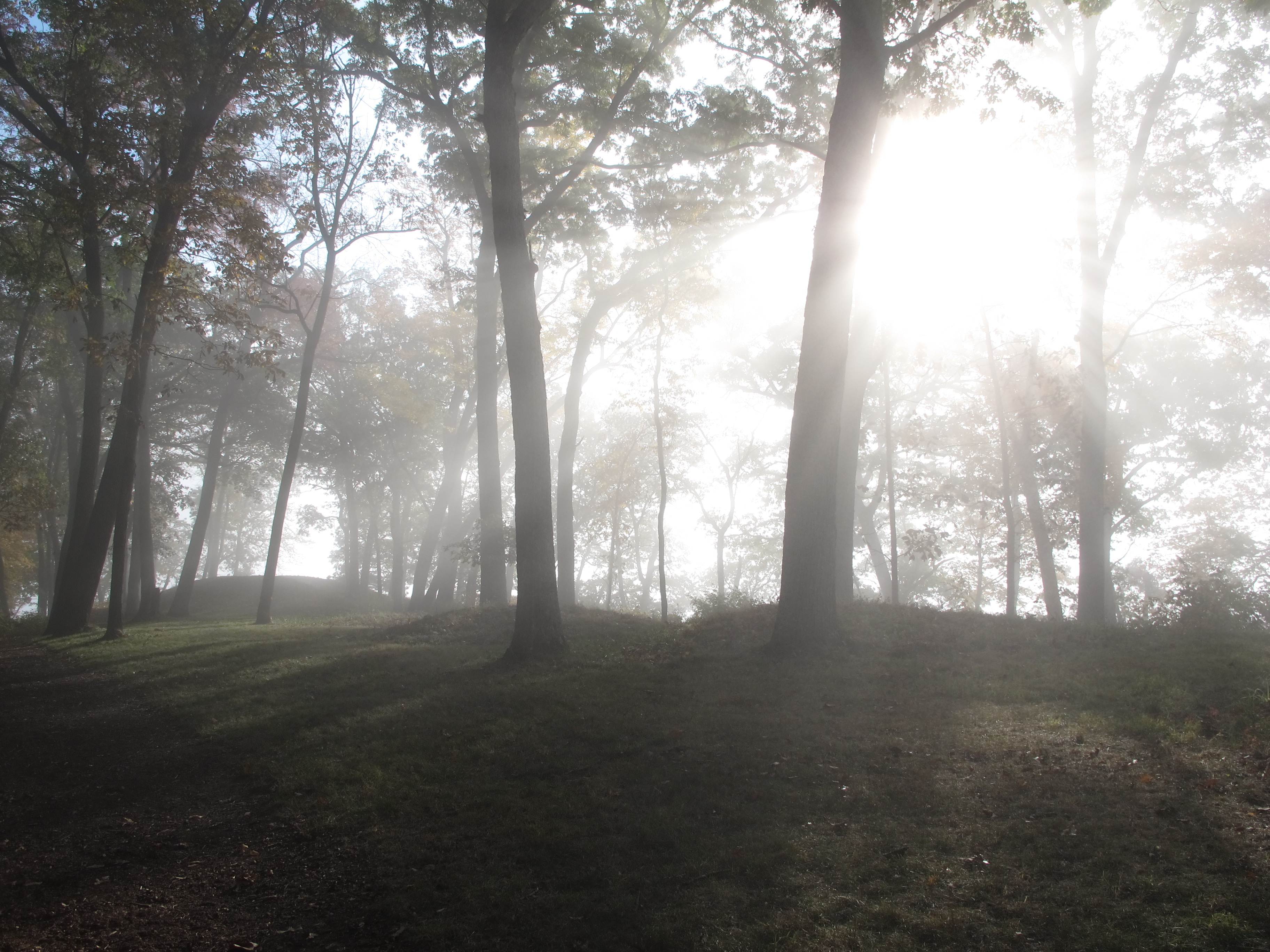 Three conical mounds in a foggy morning setting.