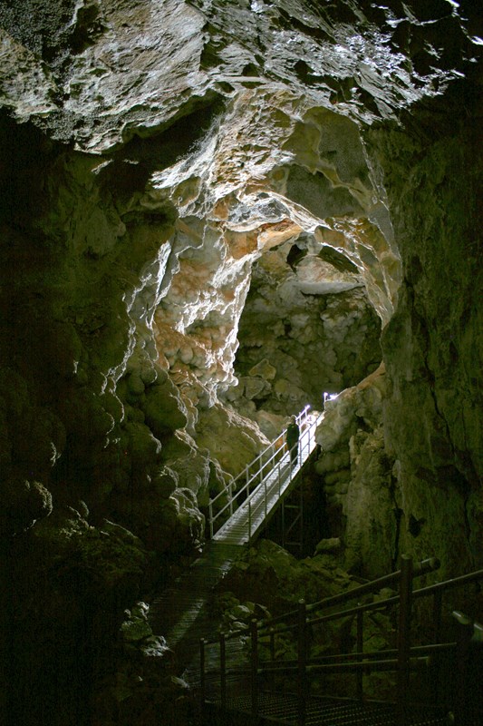 A park ranger is standing on a metal platform within a long passageway with a vaulted ceiling.