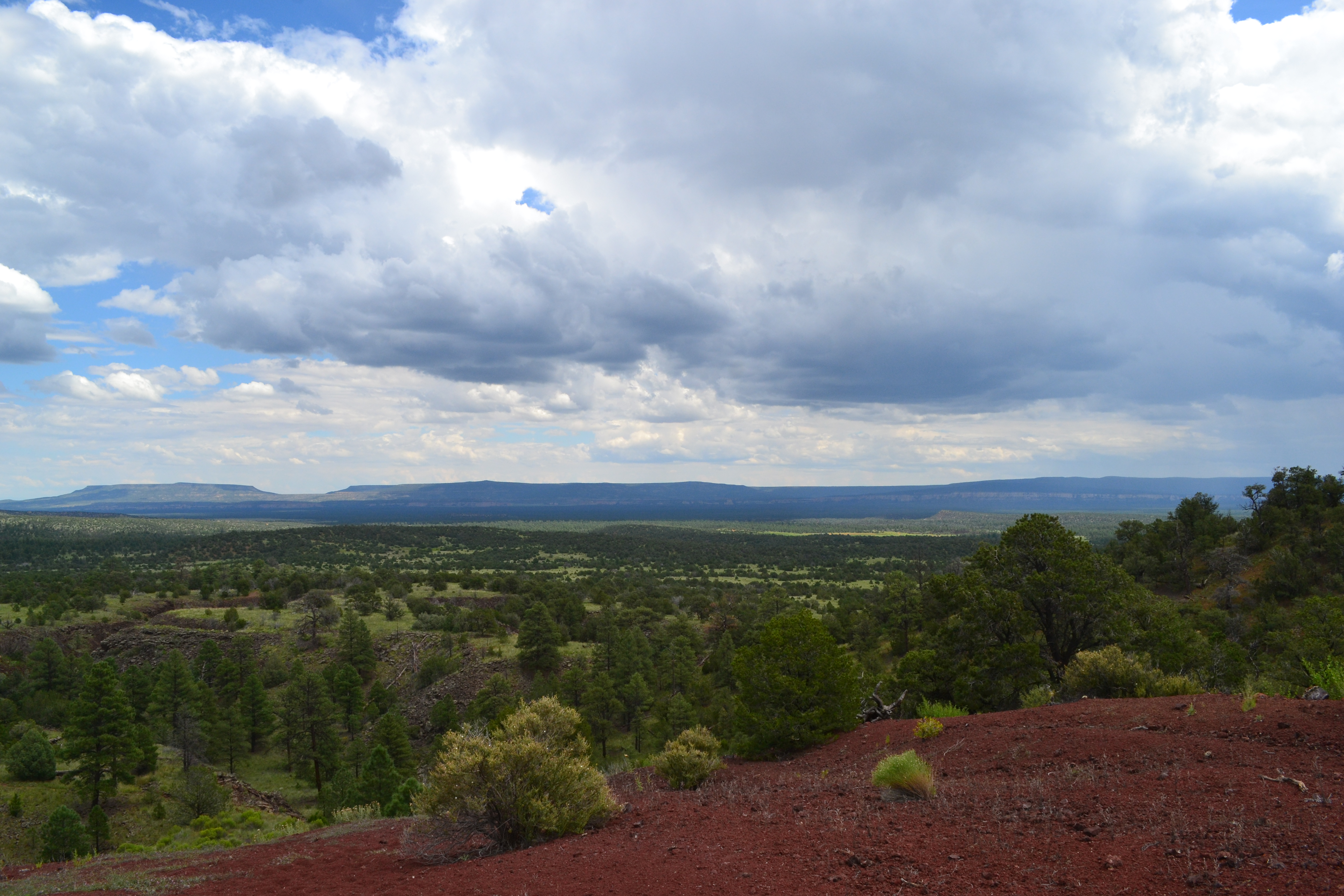 Summer view from El Calderon cinder cone