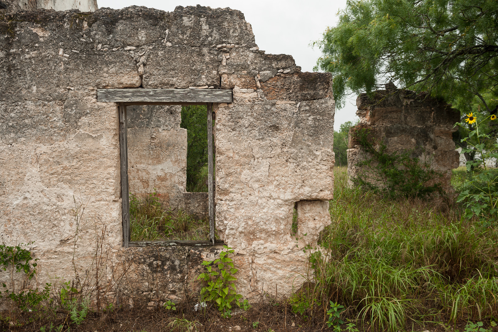 stone house ruins; briliant green grasses and trees on the right