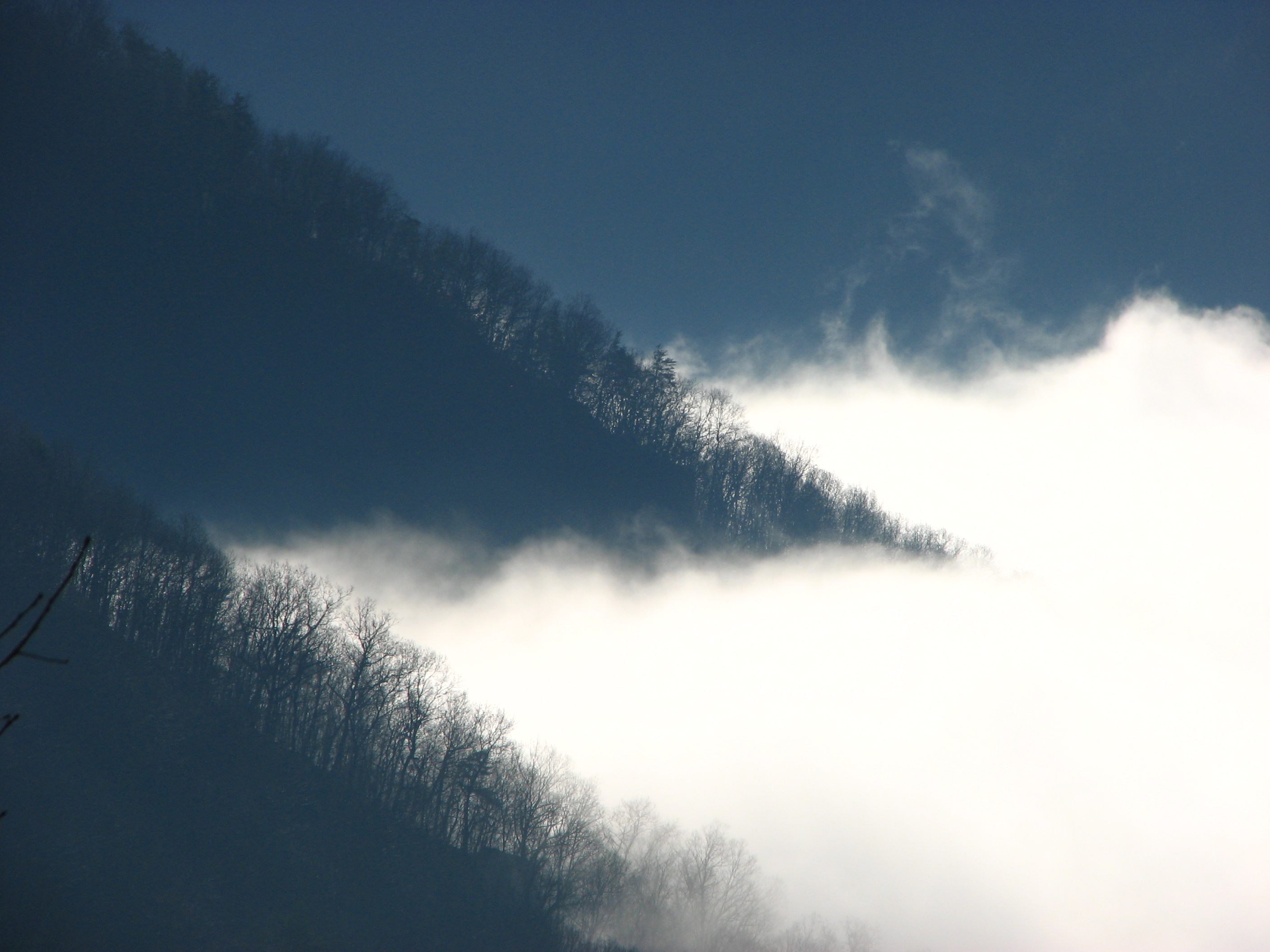 fog and mountains