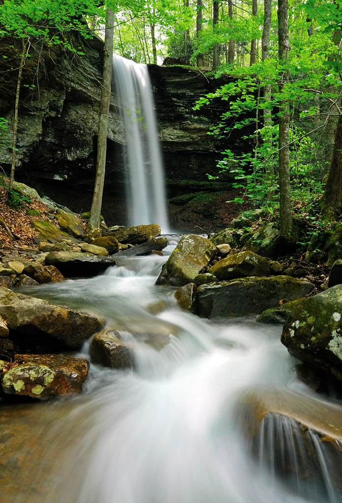 waterfall and stream