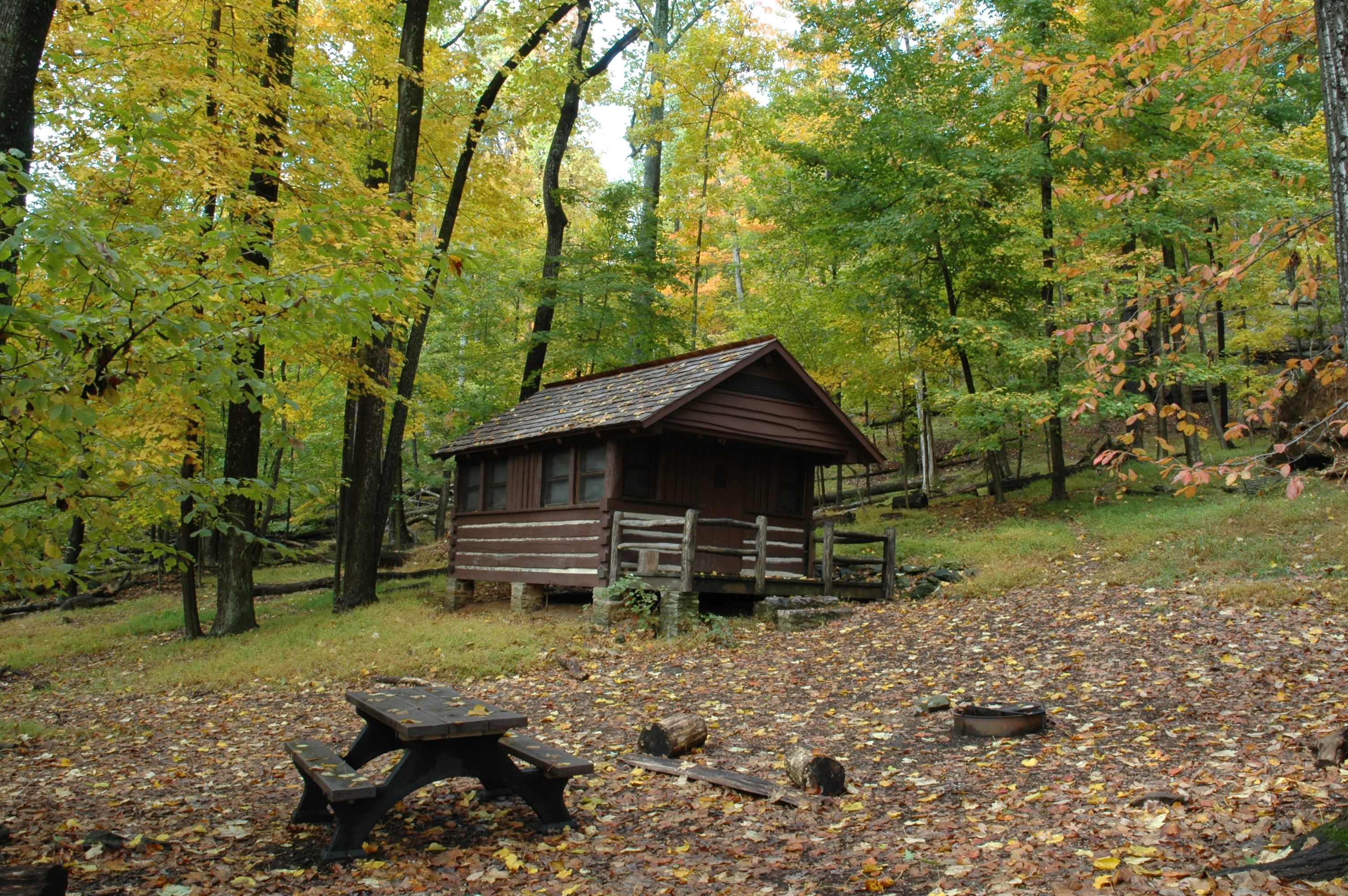 A log cabin in the woods