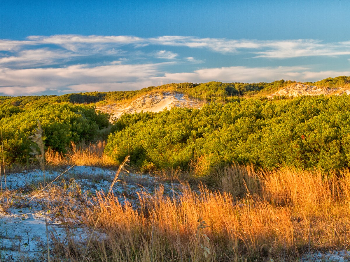 Plan for a Safe Trip - Cumberland Island National Seashore (U.S.