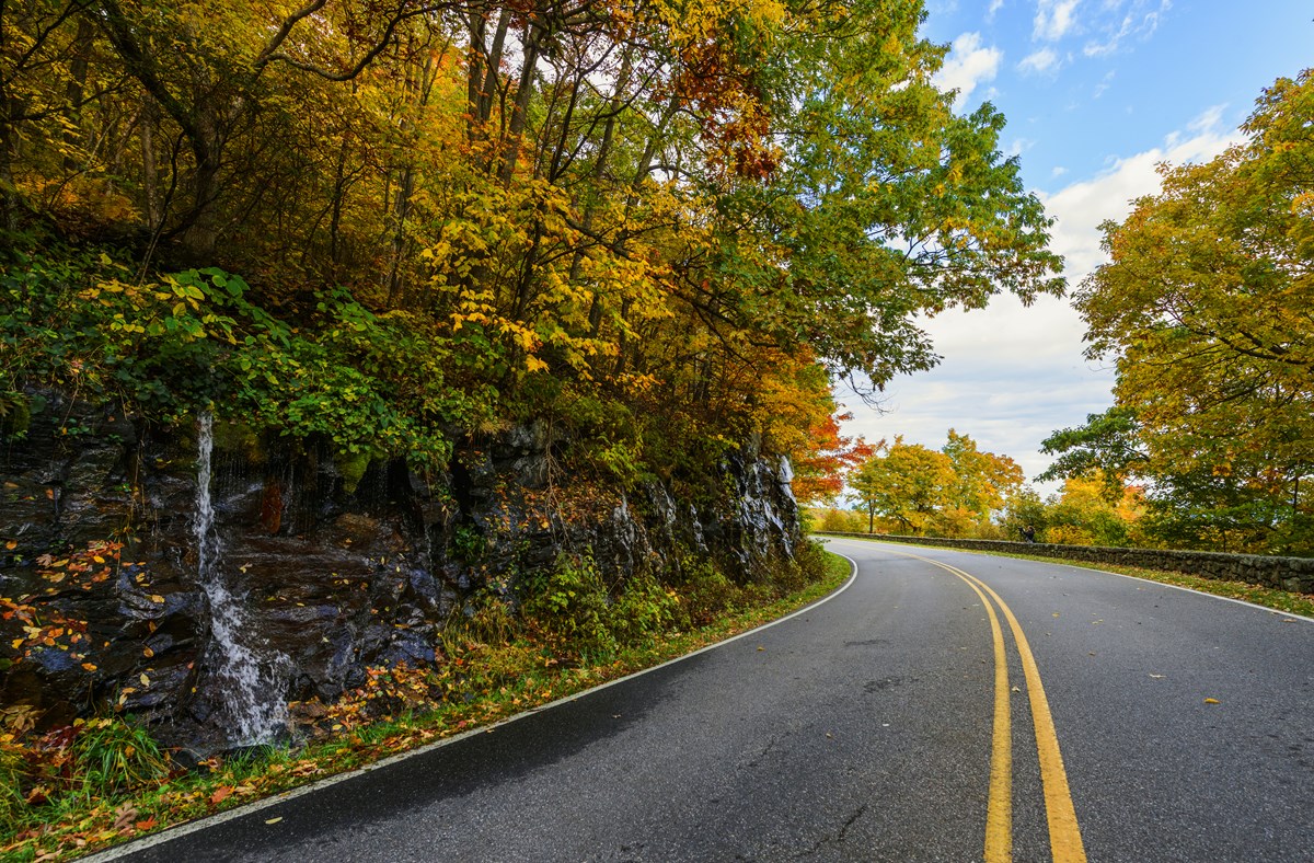 A road surrounded by fall foliage turns a curve around a small waterfall. 
