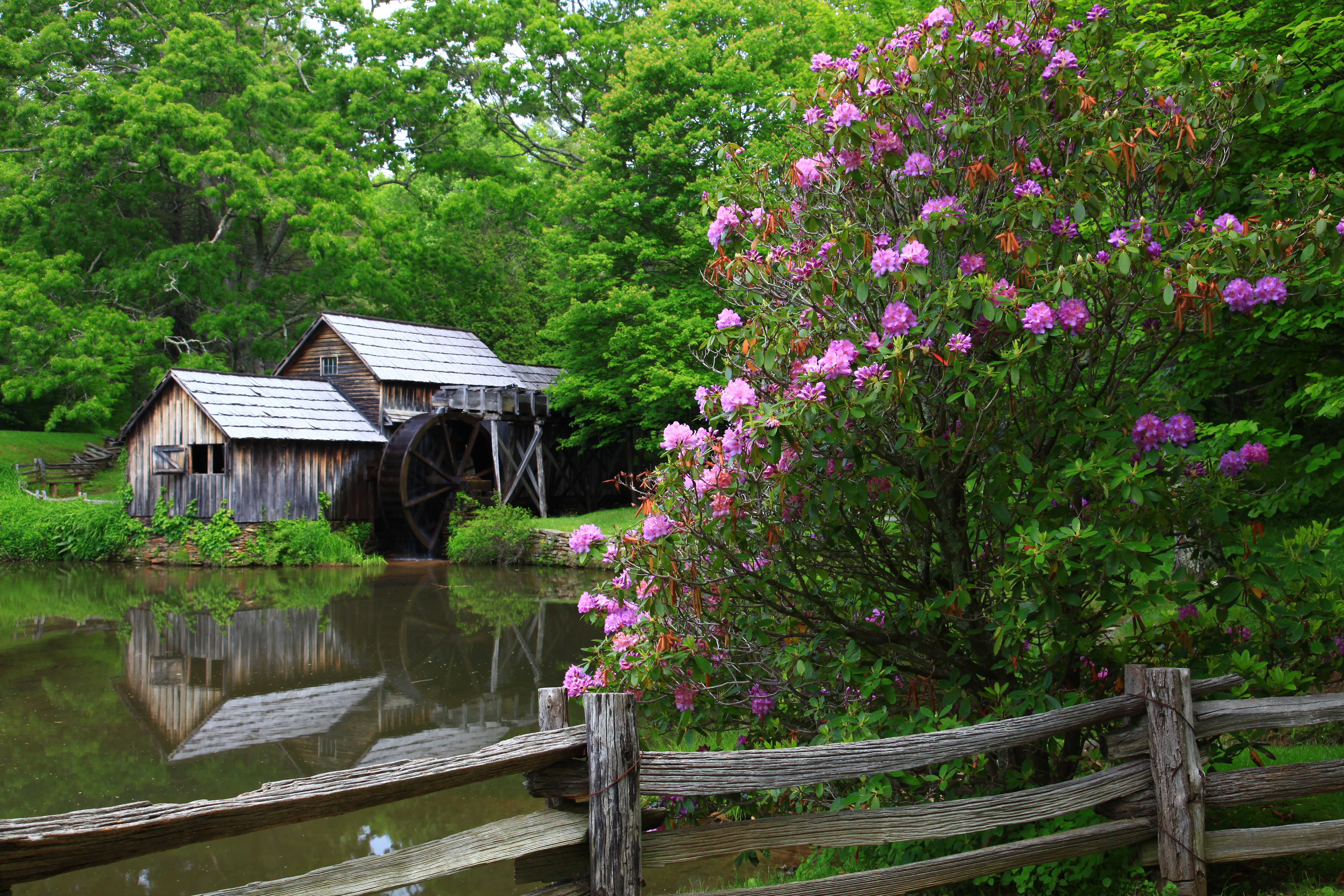 Summer colors at Mabry Mill