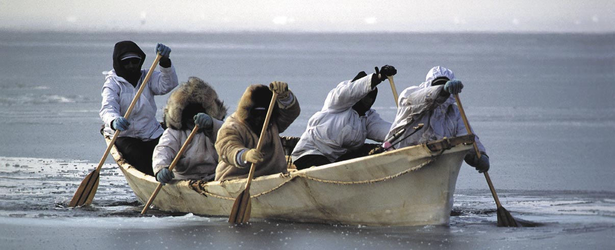 Five people in heavy clothing paddle a skin canoe in icy waters