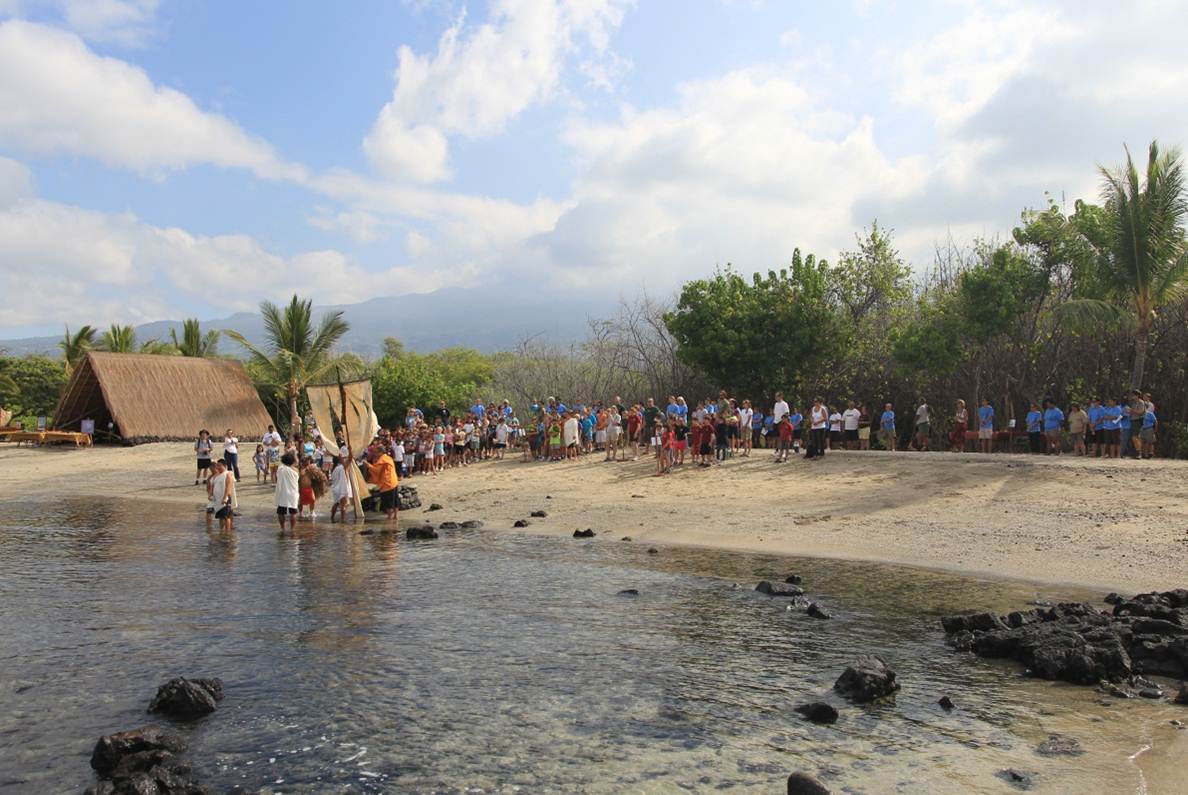 Honu (sea turtles) are common on the beach in this area of the park