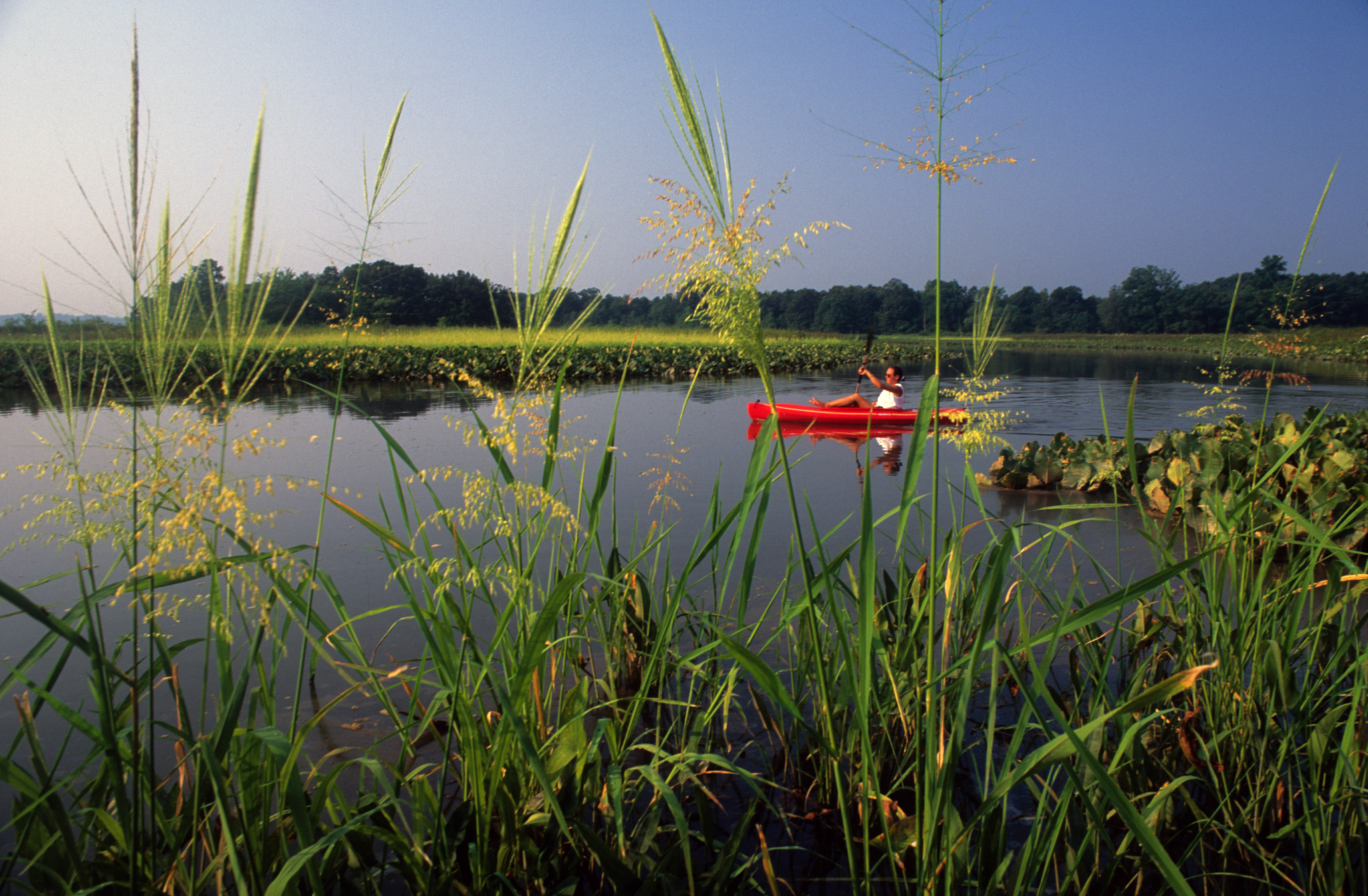 A lone kayaker explores the Patuxent River