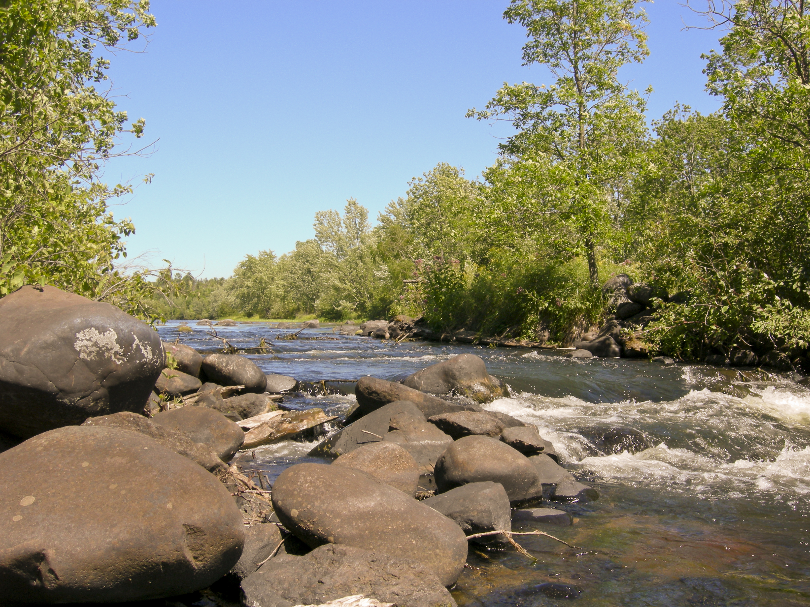 A fast river flows over large rocks in a forested landscape.