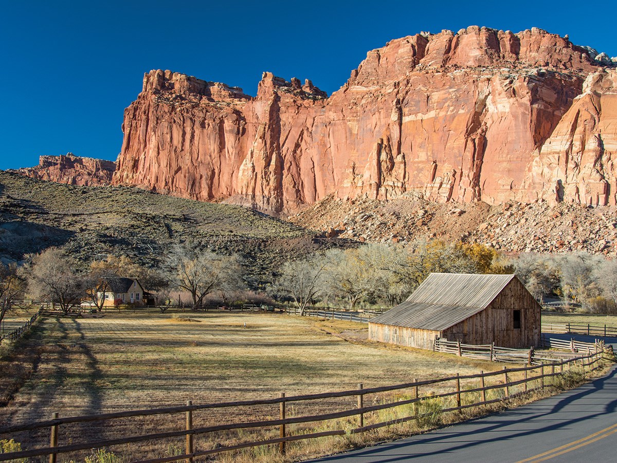 Shrubs - Capitol Reef National Park (U.S. National Park Service)