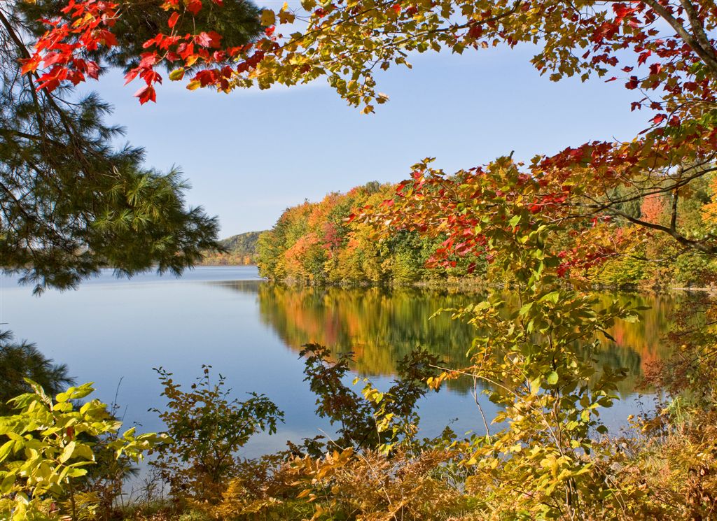 Fall colors along the trail