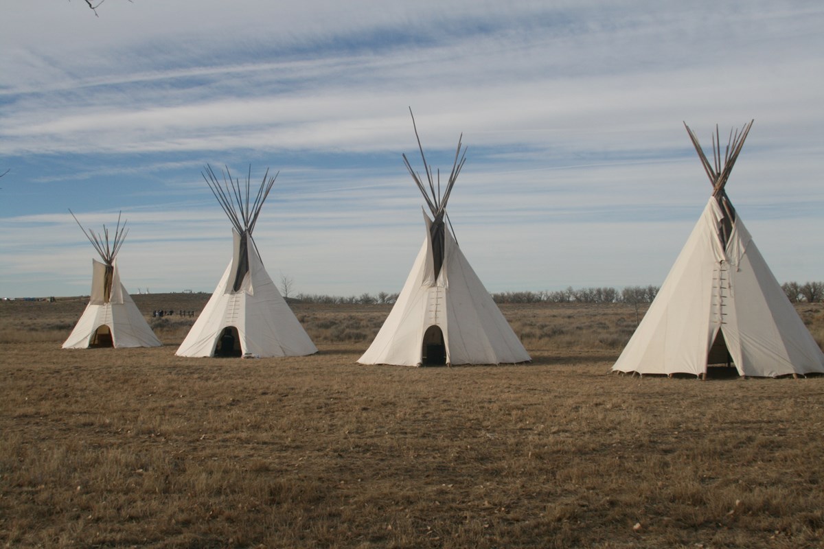 Four white Indian lodges on a grassy plain. 
