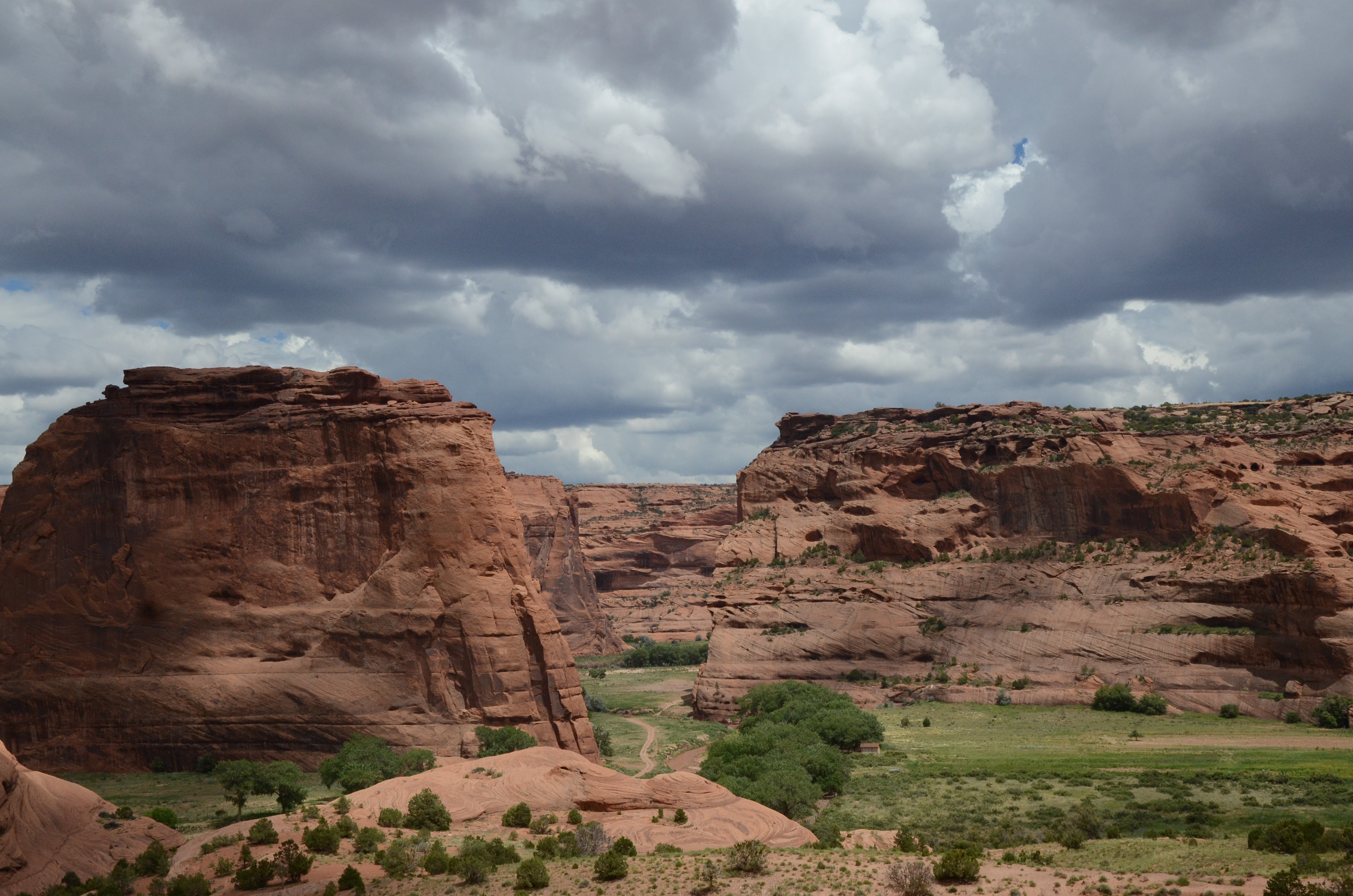 View of the canyon from the White House Trail