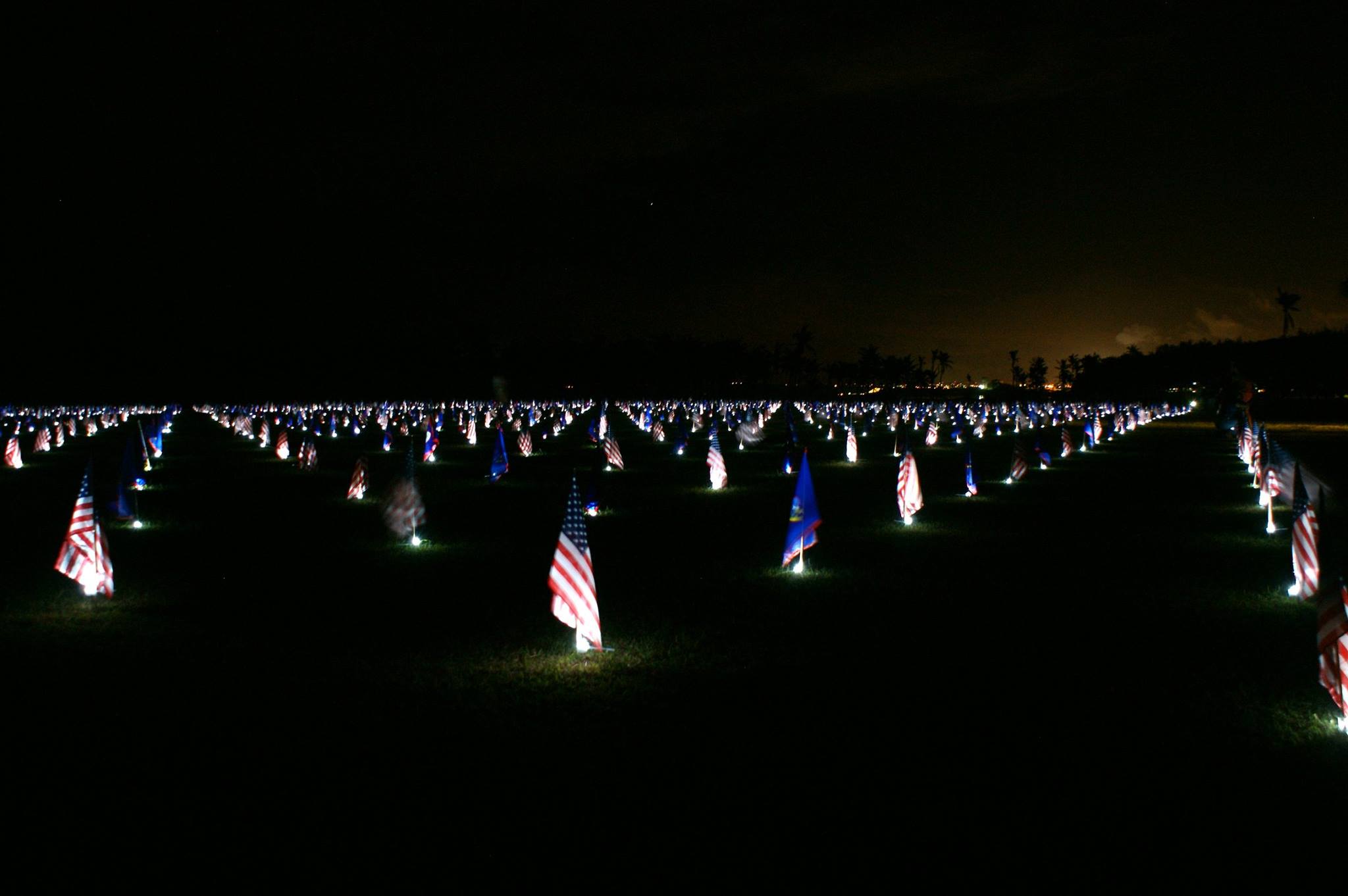 Night view of light up US flags.