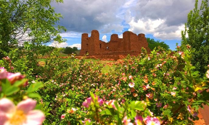 Pink flowers and green foliage frame the roofless remains of a stone mission.