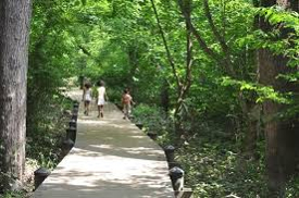 three people walking on wooden boardwalk under trees