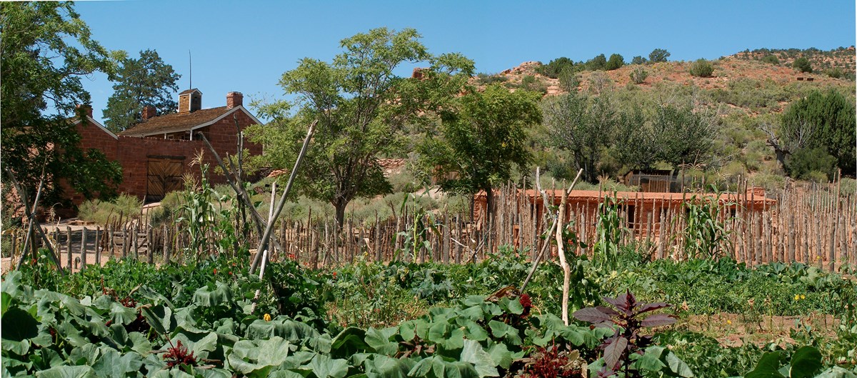 A lush garden filled with settler and native crops grows in front of a sandstone fort