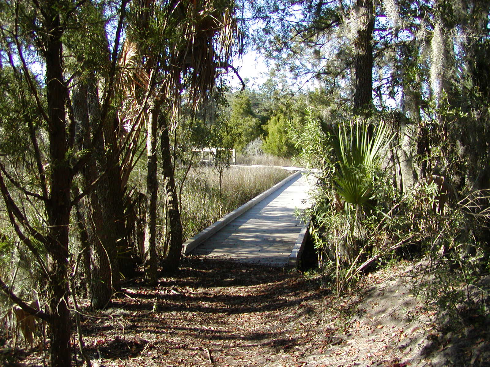 Boardwalk and Marsh