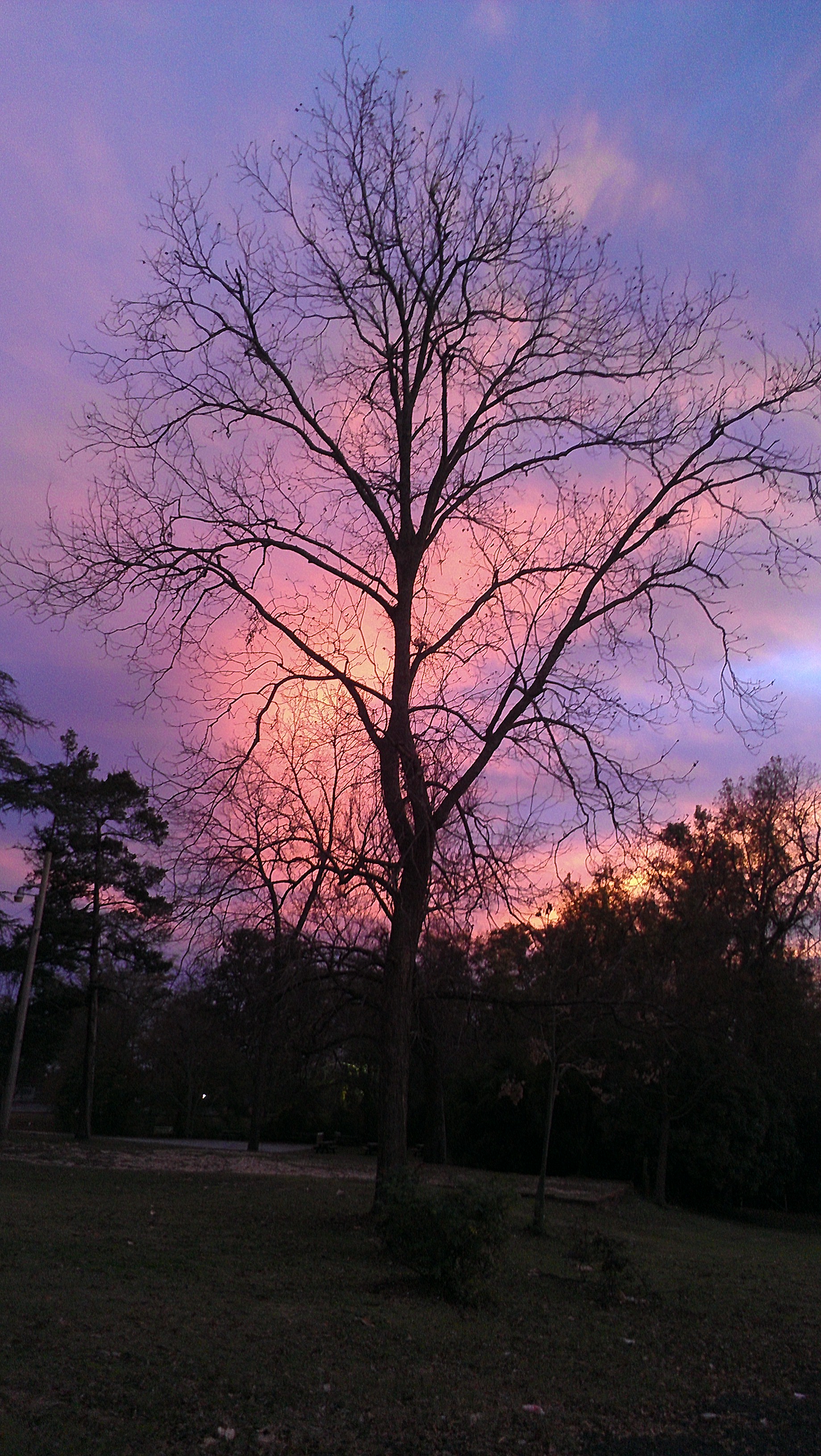 Sunset of blue, red, and orange sky behind The Oaks, Booker T. Washngton home