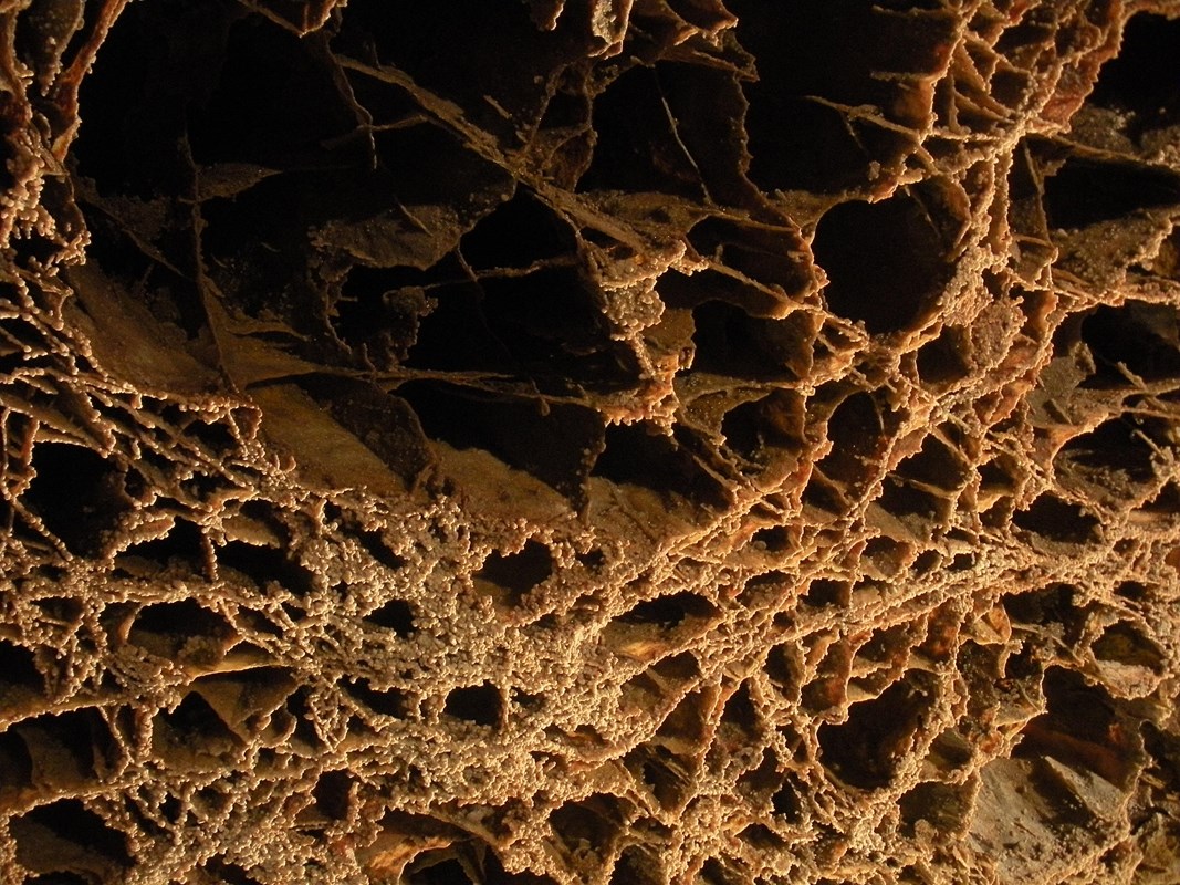 Thin fins of calcite forming box-shaped openings, called boxwork, on a cave ceiling.