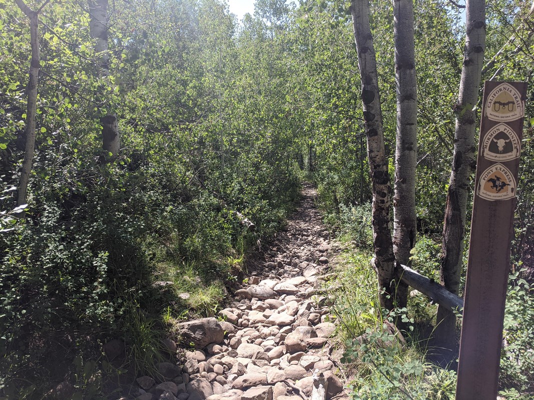 A hiking trail with a trail sign. 