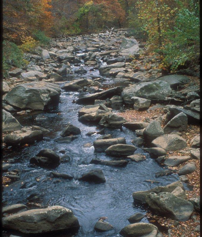 Dark boulders scattered through a narrow creek.  Green trees rise up on either bank.