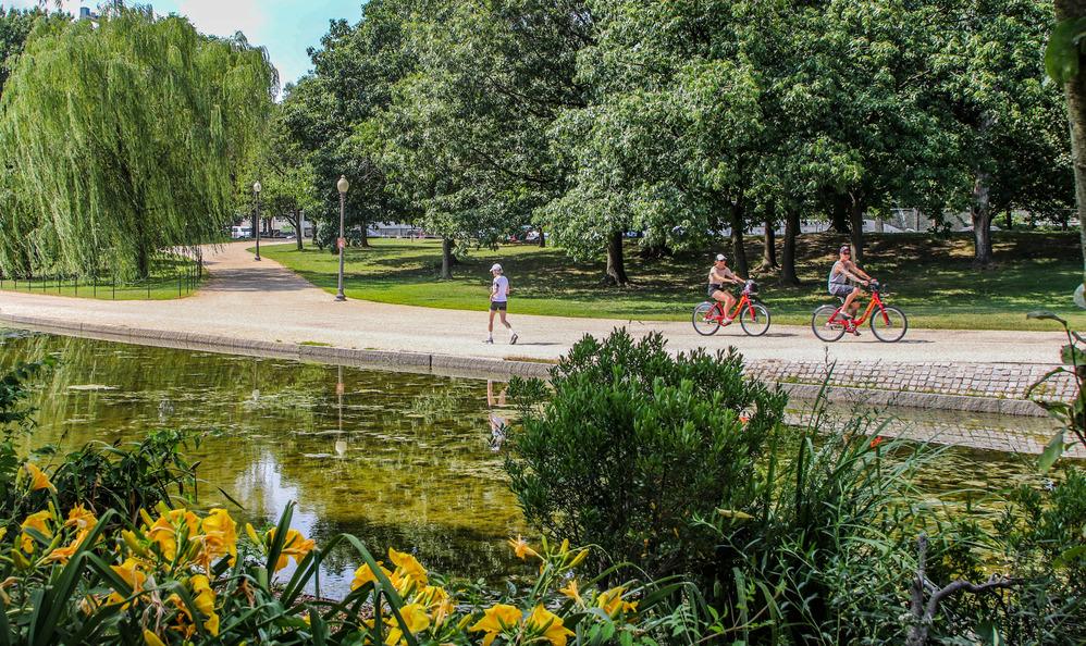 Jogger and two bicyclists on a path by a pond