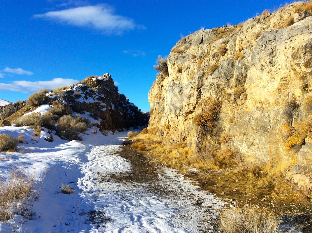 Winter View on the Big Fill Trail 