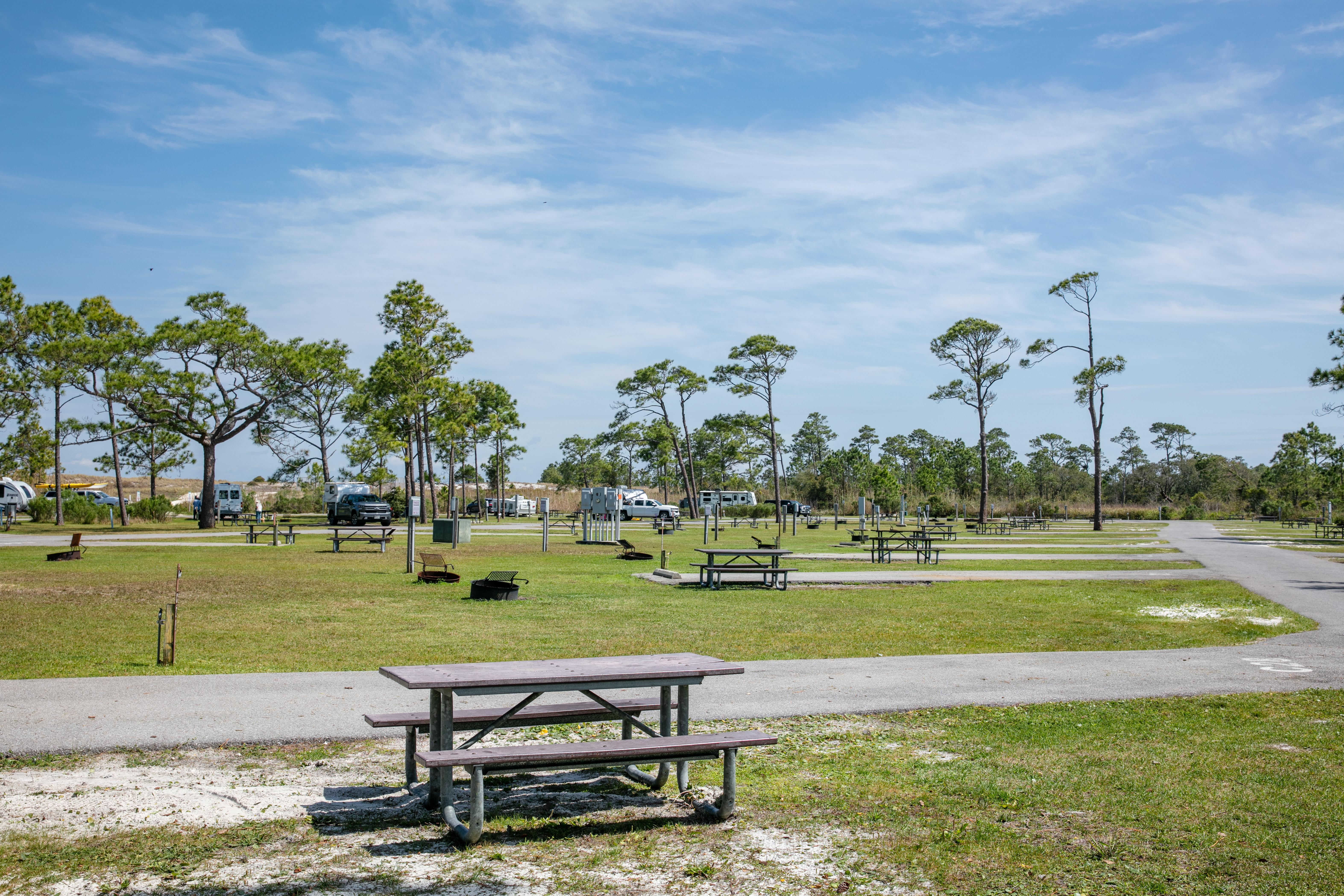 are dogs allowed at fort pickens