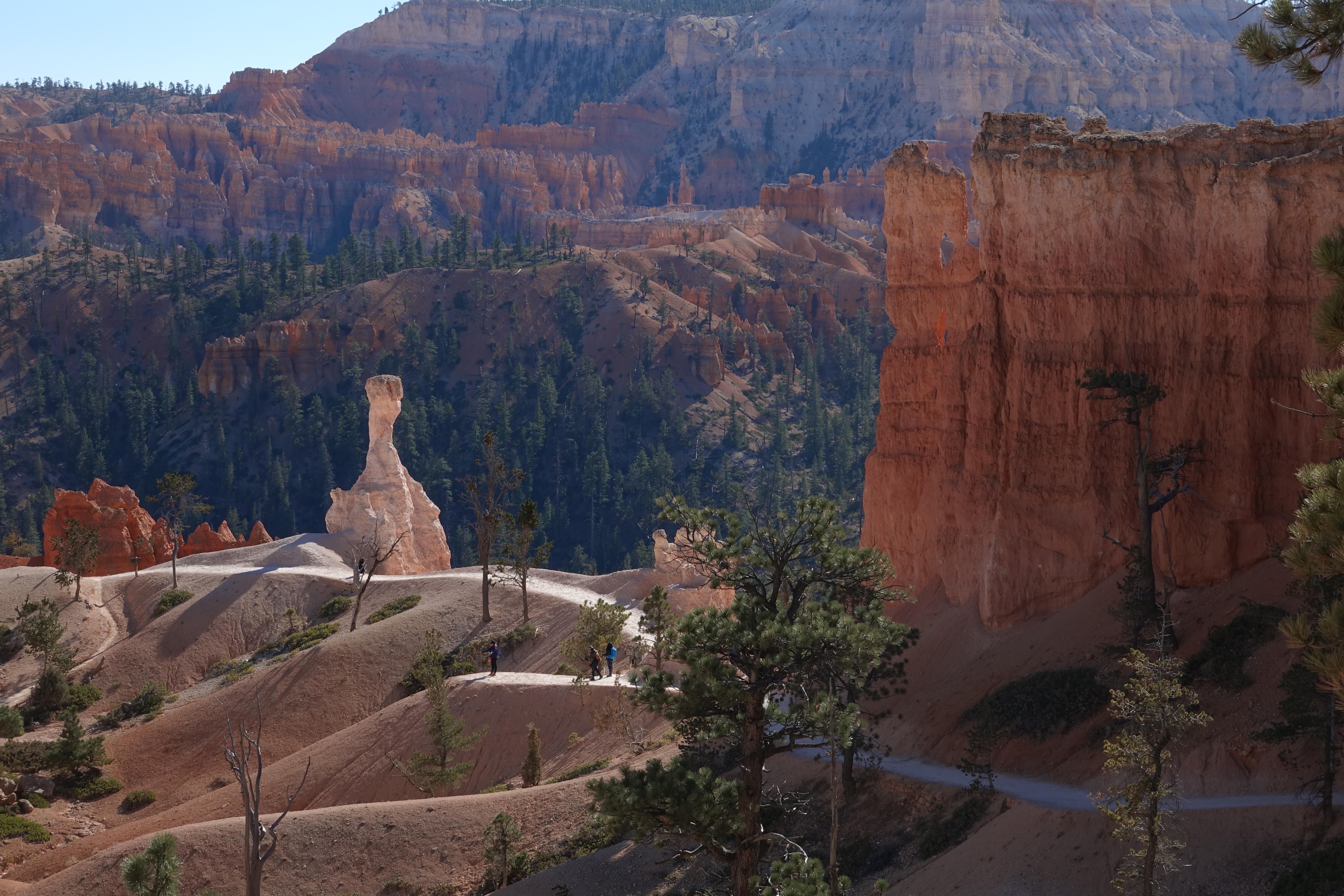 A lone white rock tower stands surrounded by red rock walls and forest along a trail