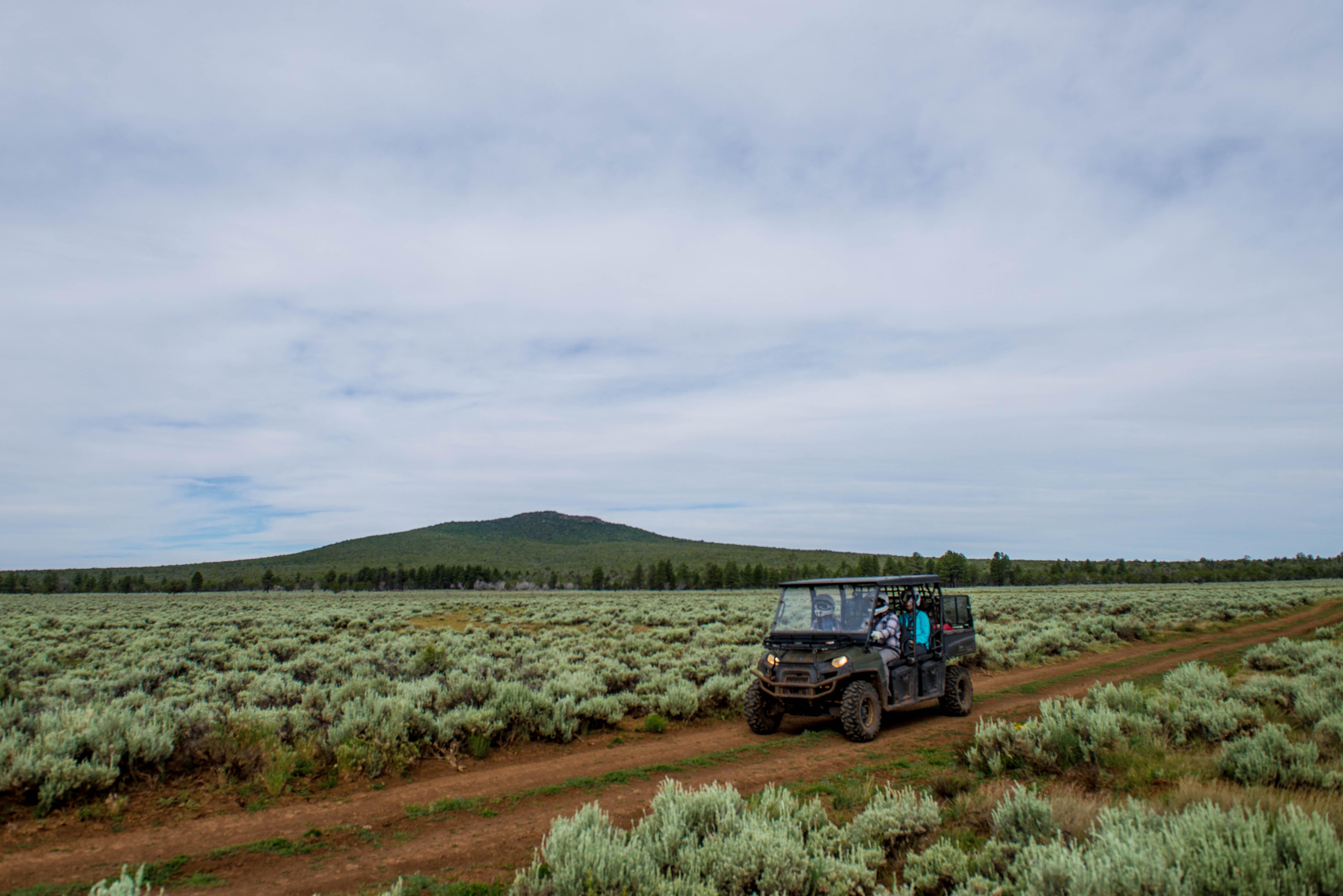 A UTV drives down a road surrounded on both sides by sage