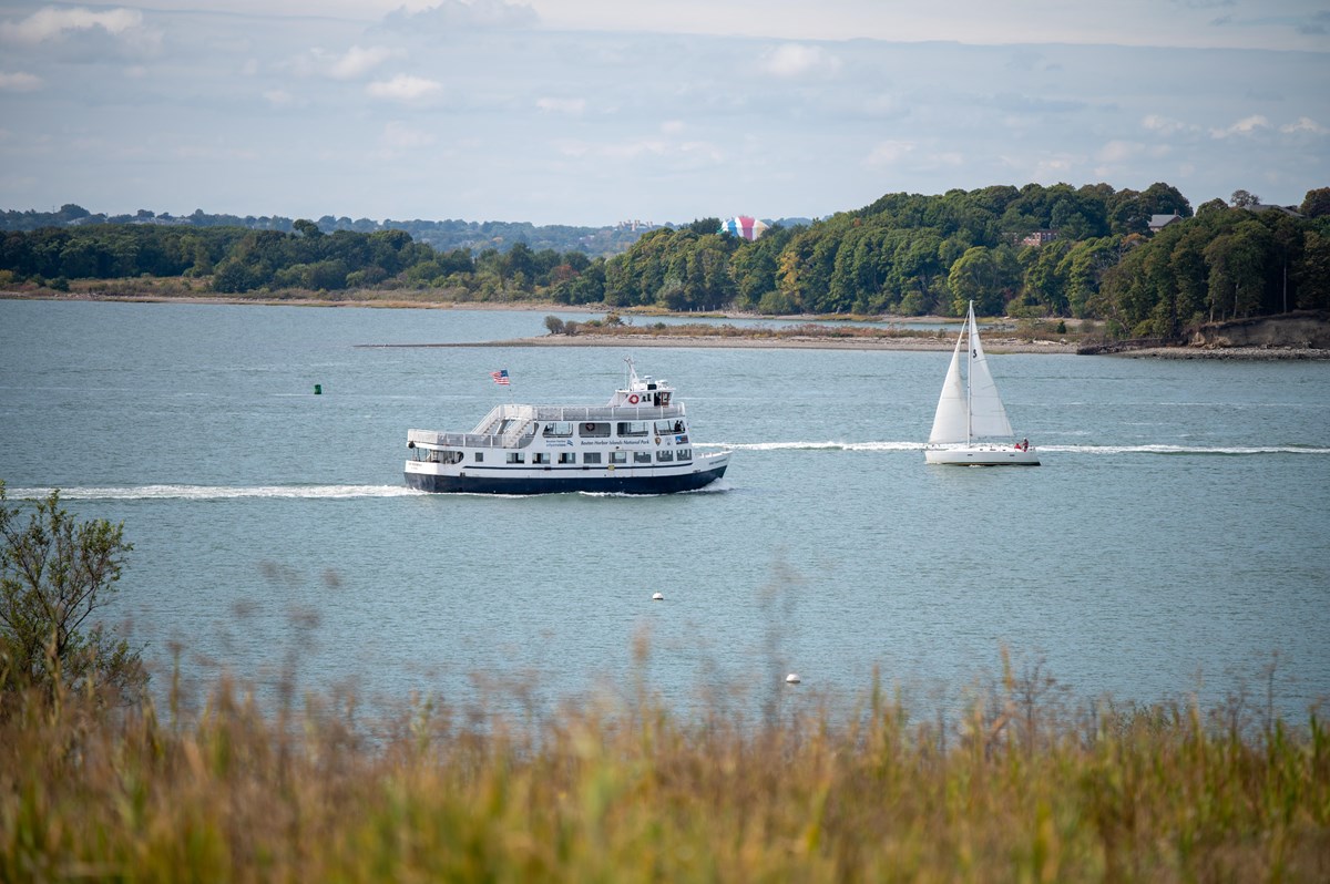 view from Spectacle Island overlooking the water with a public ferry and a sailboat