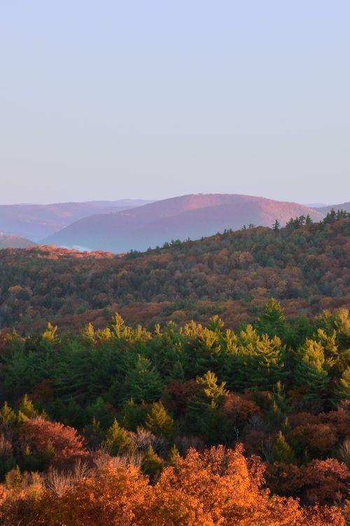 Fall trees on the mountains of the trail