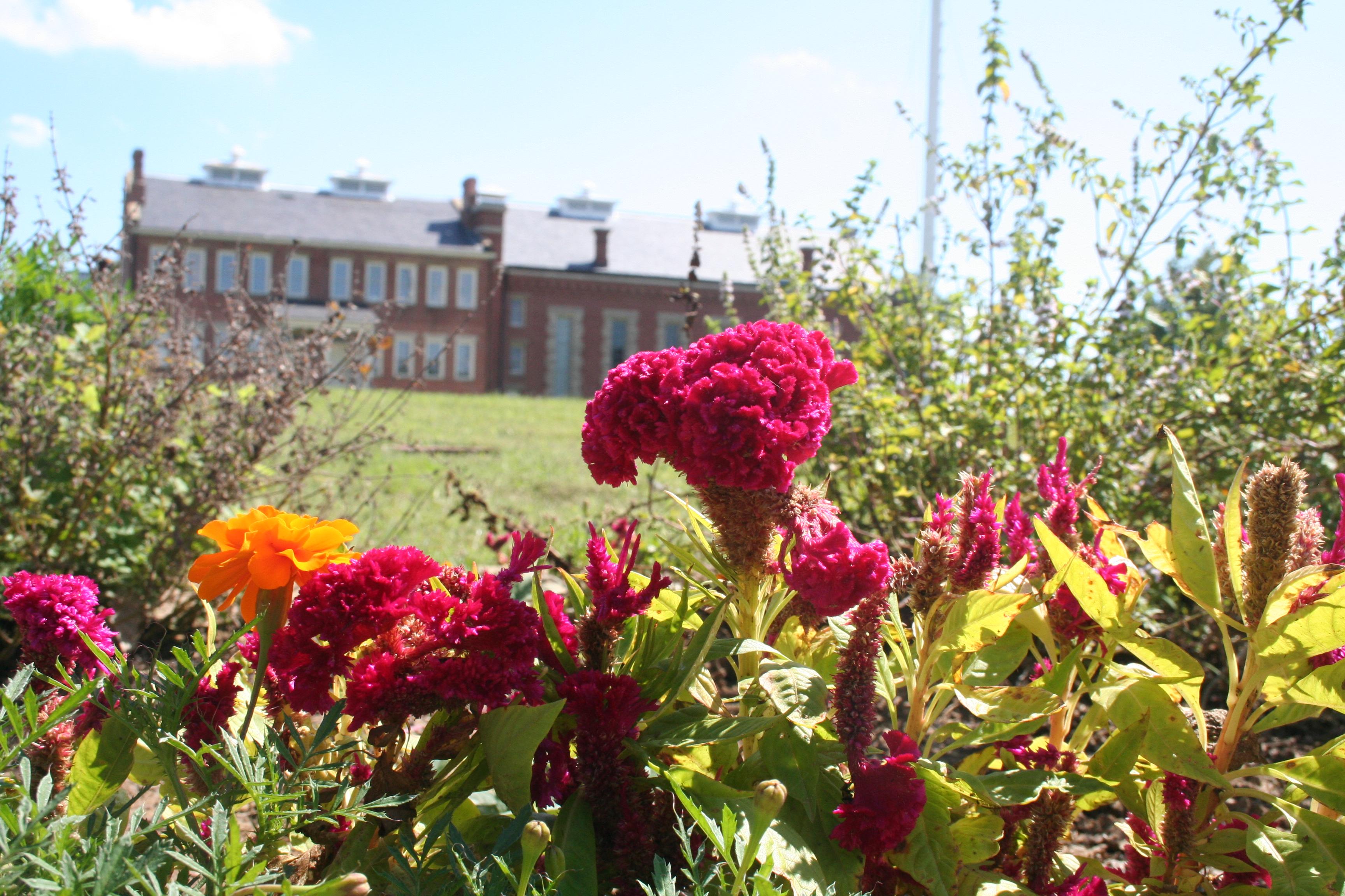 Purple and orange flowers bloom in the foreground with the red brick visitor center in the back.