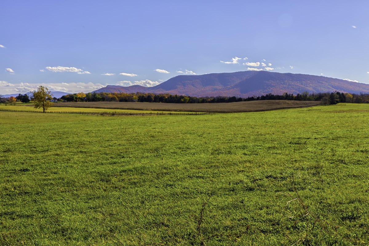 A long mountain ridge looms over an open field.