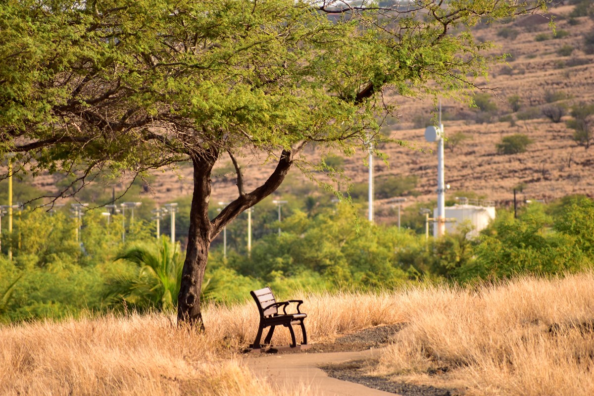 Bench along a winding path.