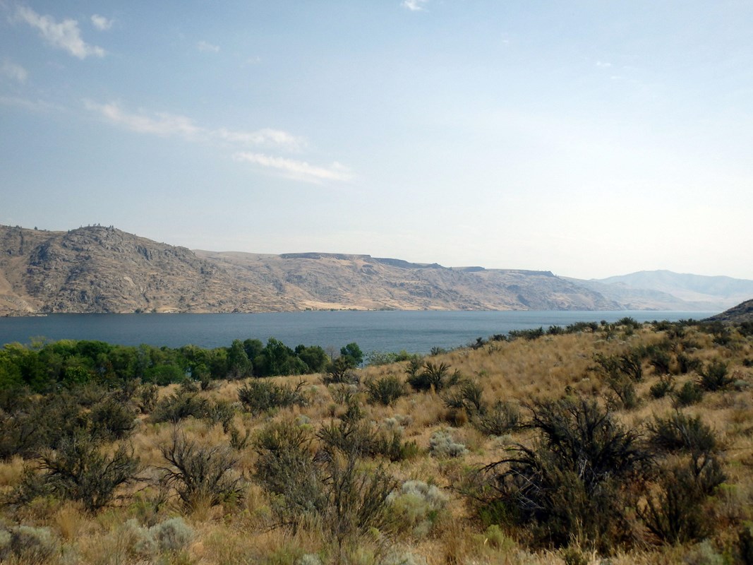 Tan and green plants create a hillside overlooking a blue lake, grey mountains, and a light blue sky