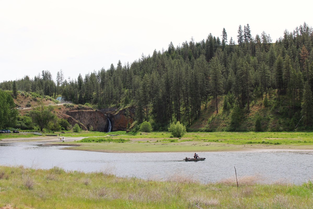 A boater navigates on a grey waterway through green grasses with tall dark green trees behind them.