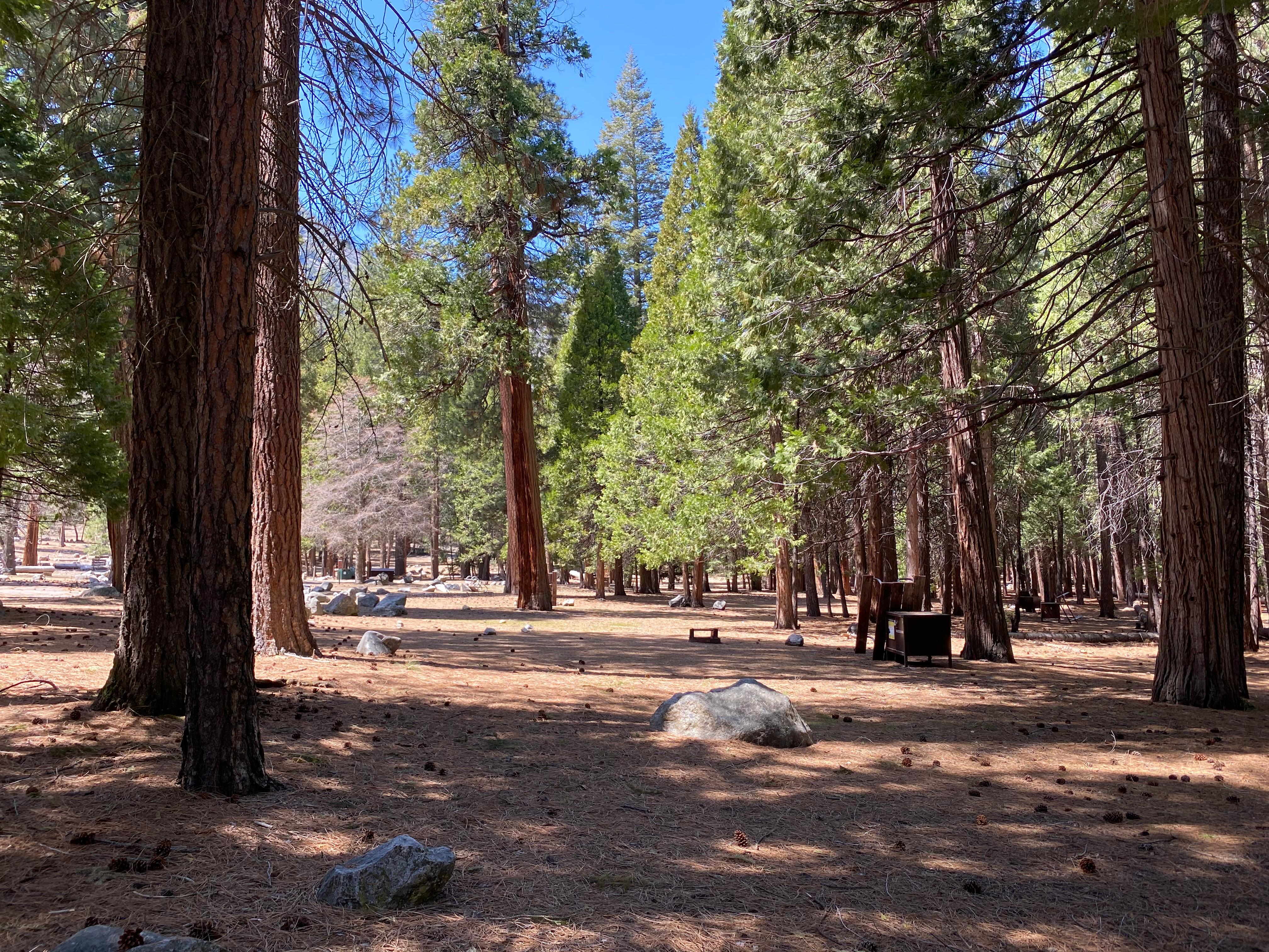 Kings shop canyon camping