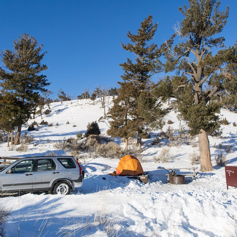 17+ Winter Camping Yellowstone