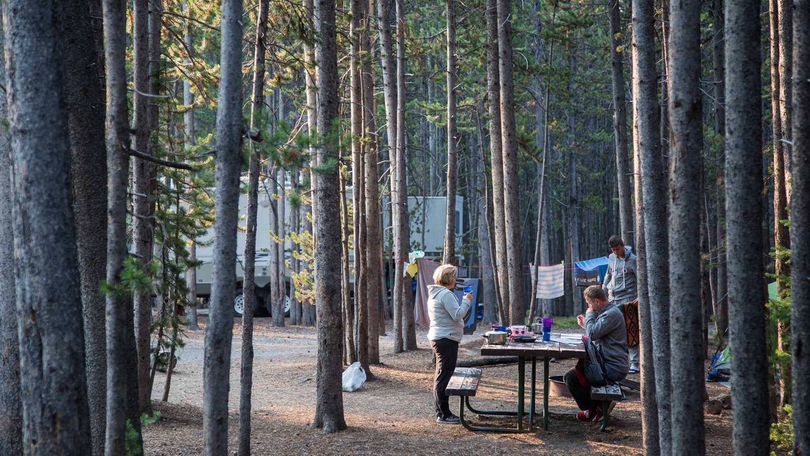 Canyon Campground - Yellowstone National Park (U.S. National Park Service)