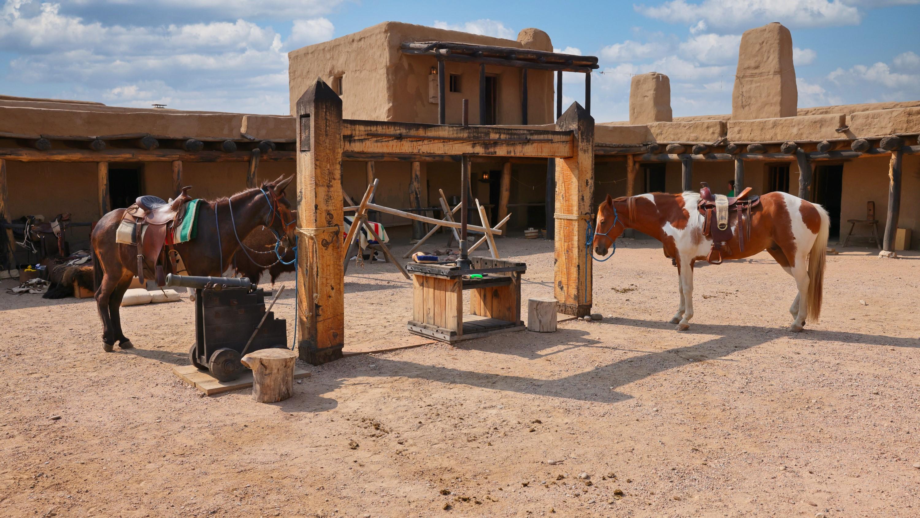 Two animals are tied to a wooden frame in the interior of a large adobe structure.