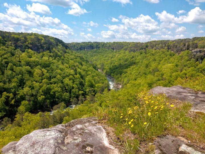 canyon with green trees and blue sky with clouds