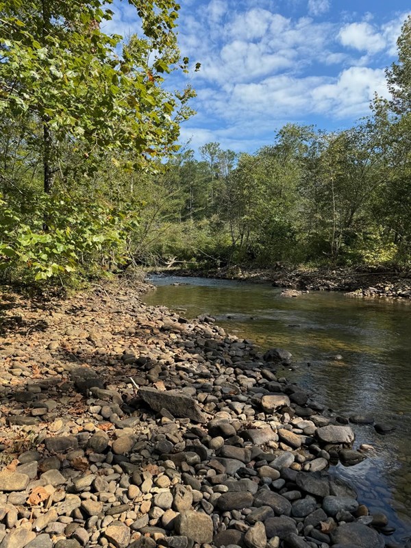 a river with rock and green trees and blue sky