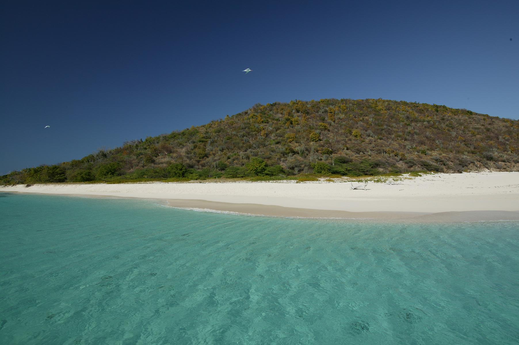 view of Buck Island from the water