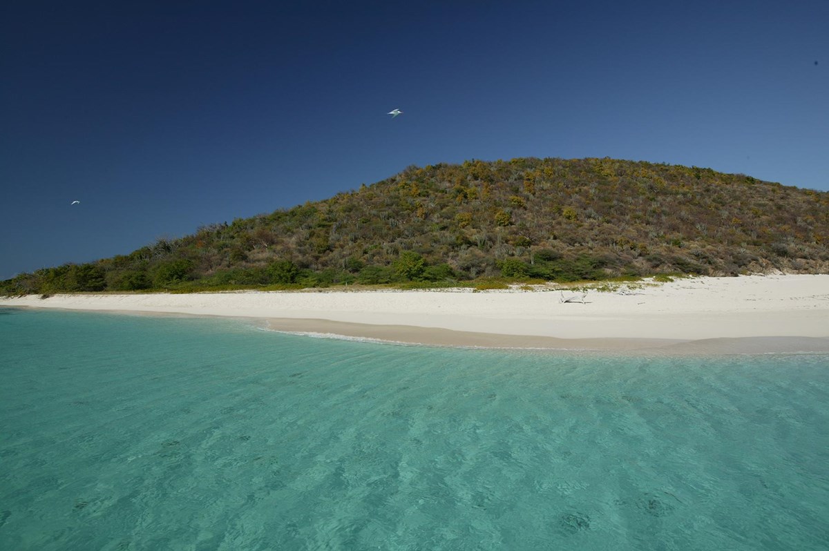view of Buck Island from the water