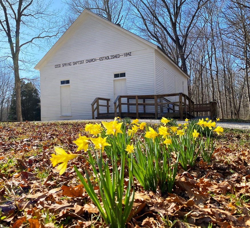 A small white church building with yellow flowers in the foreground. 