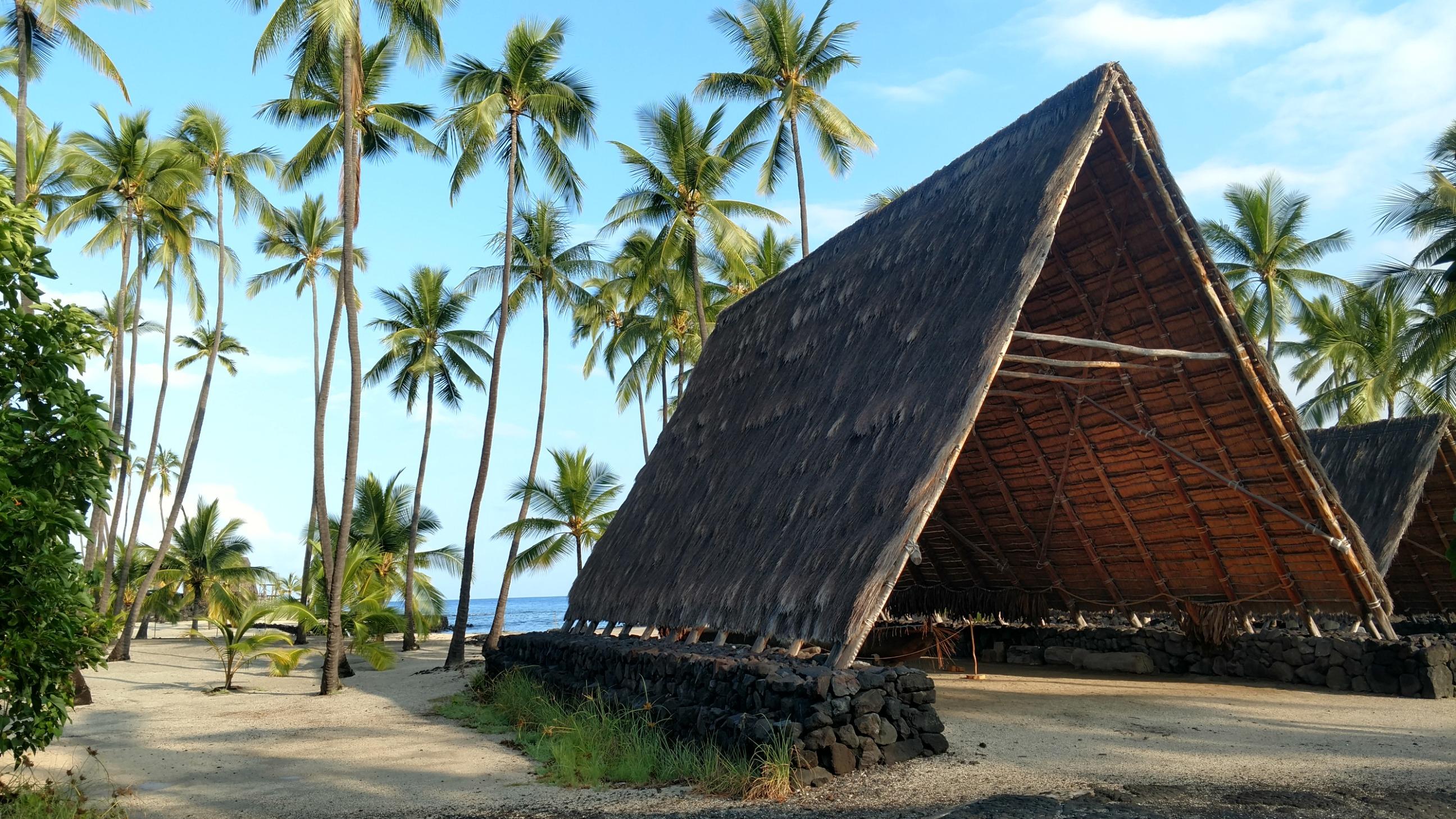 An a-frame canoe hale (house) in the Royal Grounds